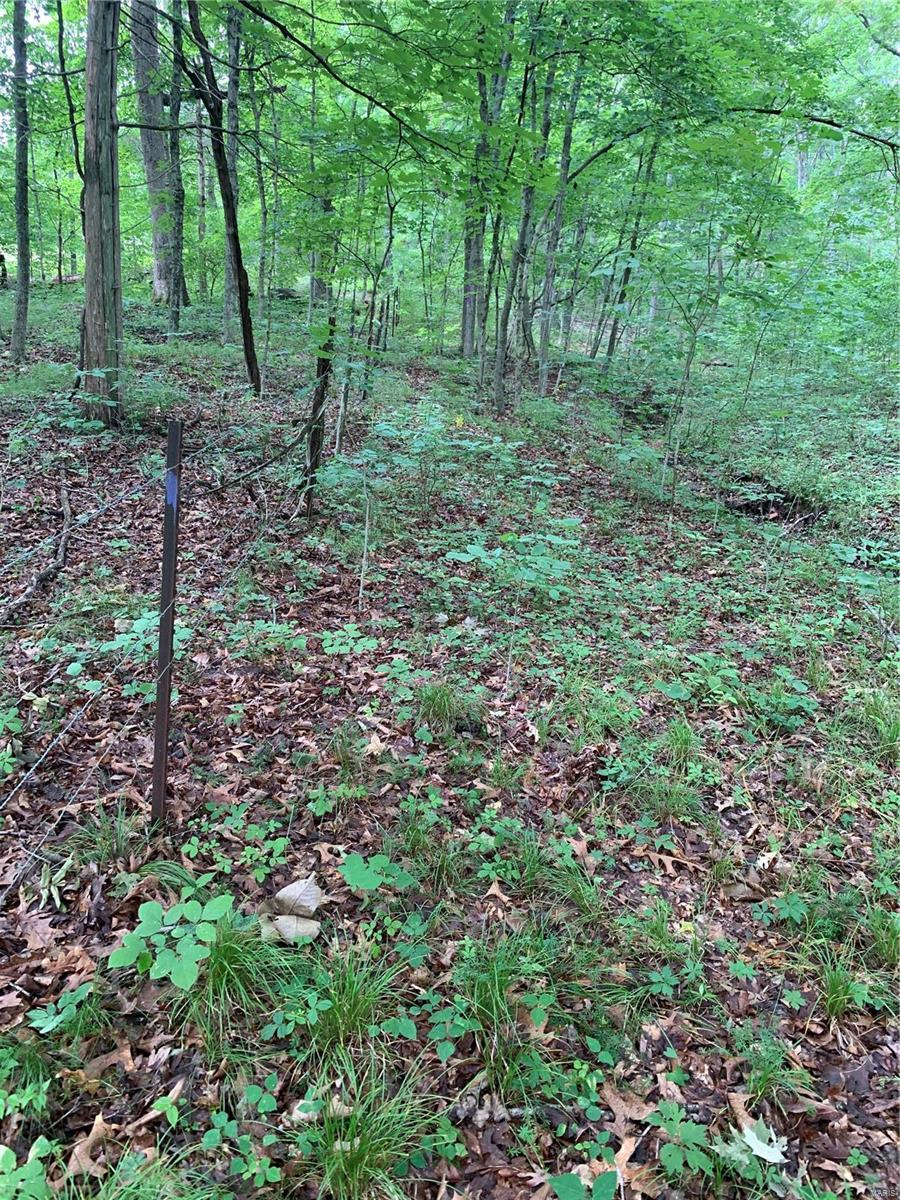 0 Lot 62.01 Acres Property Photo 8