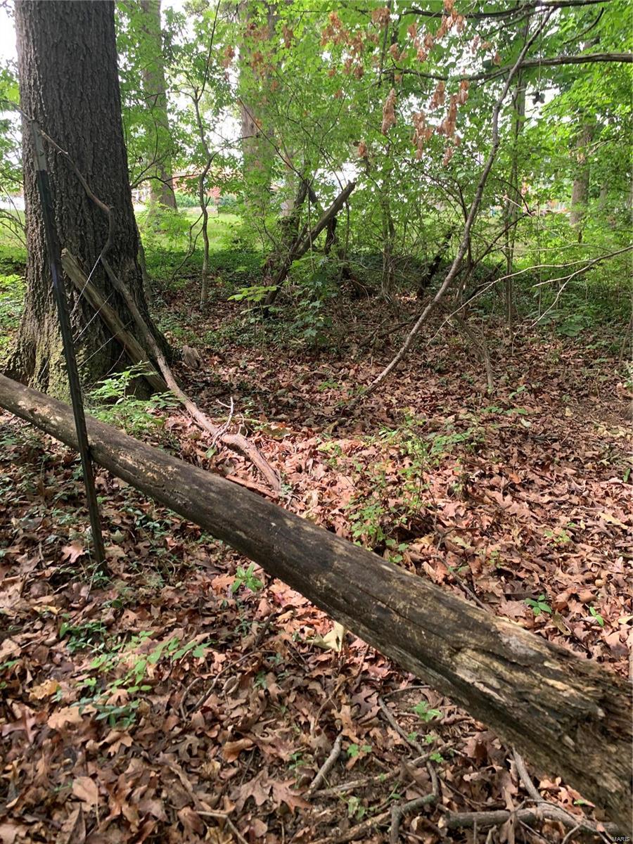 0 Lot 62.01 Acres Property Photo 10