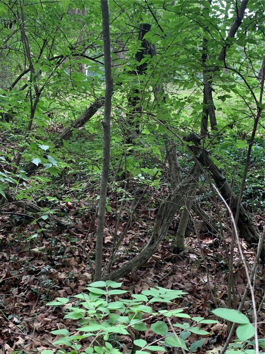 0 Lot 62.01 Acres Property Photo 11