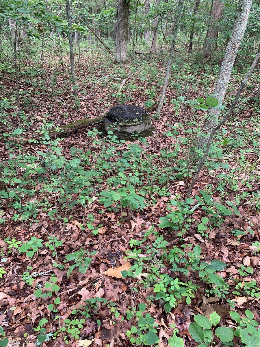 0 Lot 62.01 Acres Property Photo 12