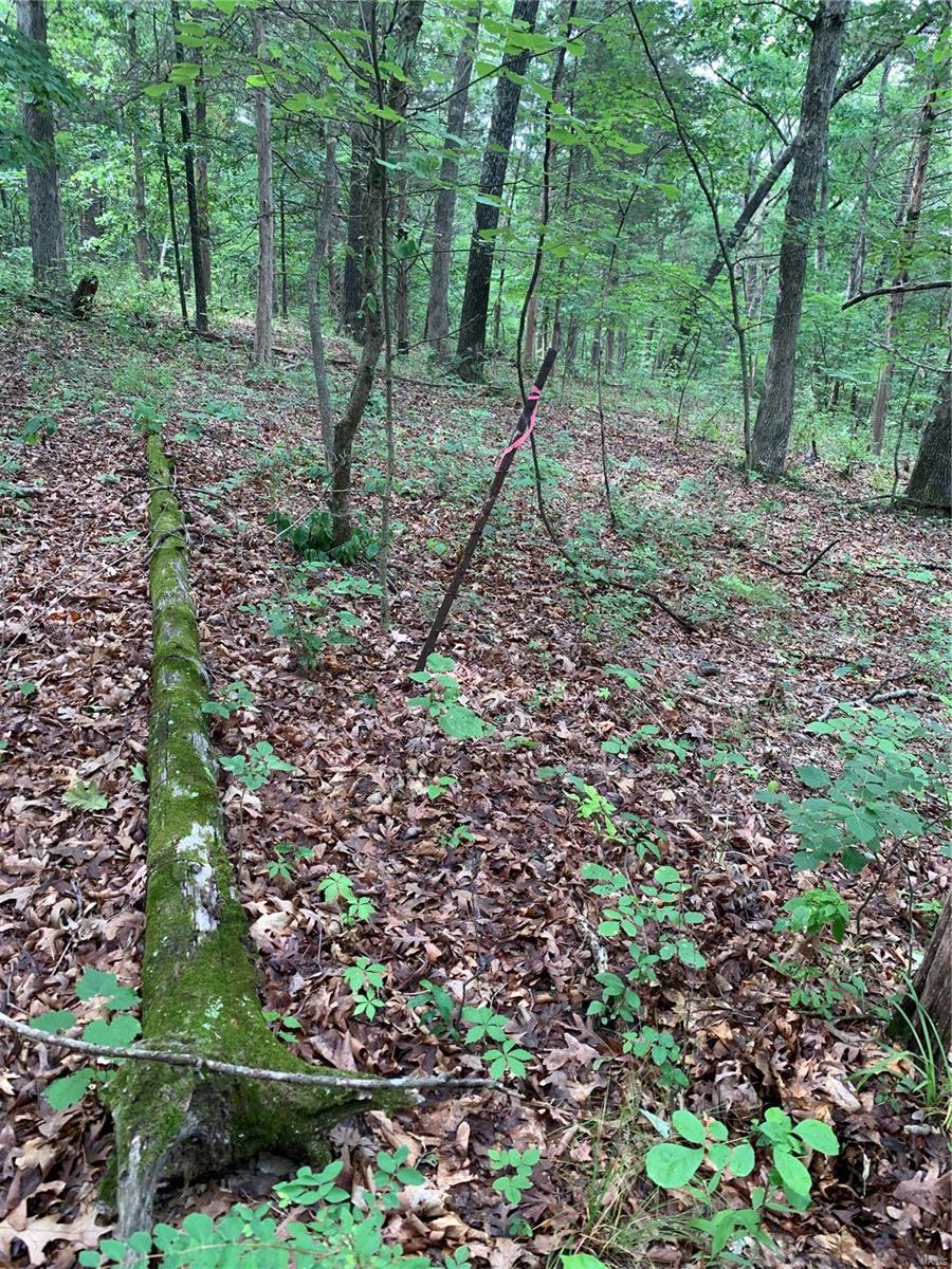 0 Lot 62.01 Acres Property Photo 13