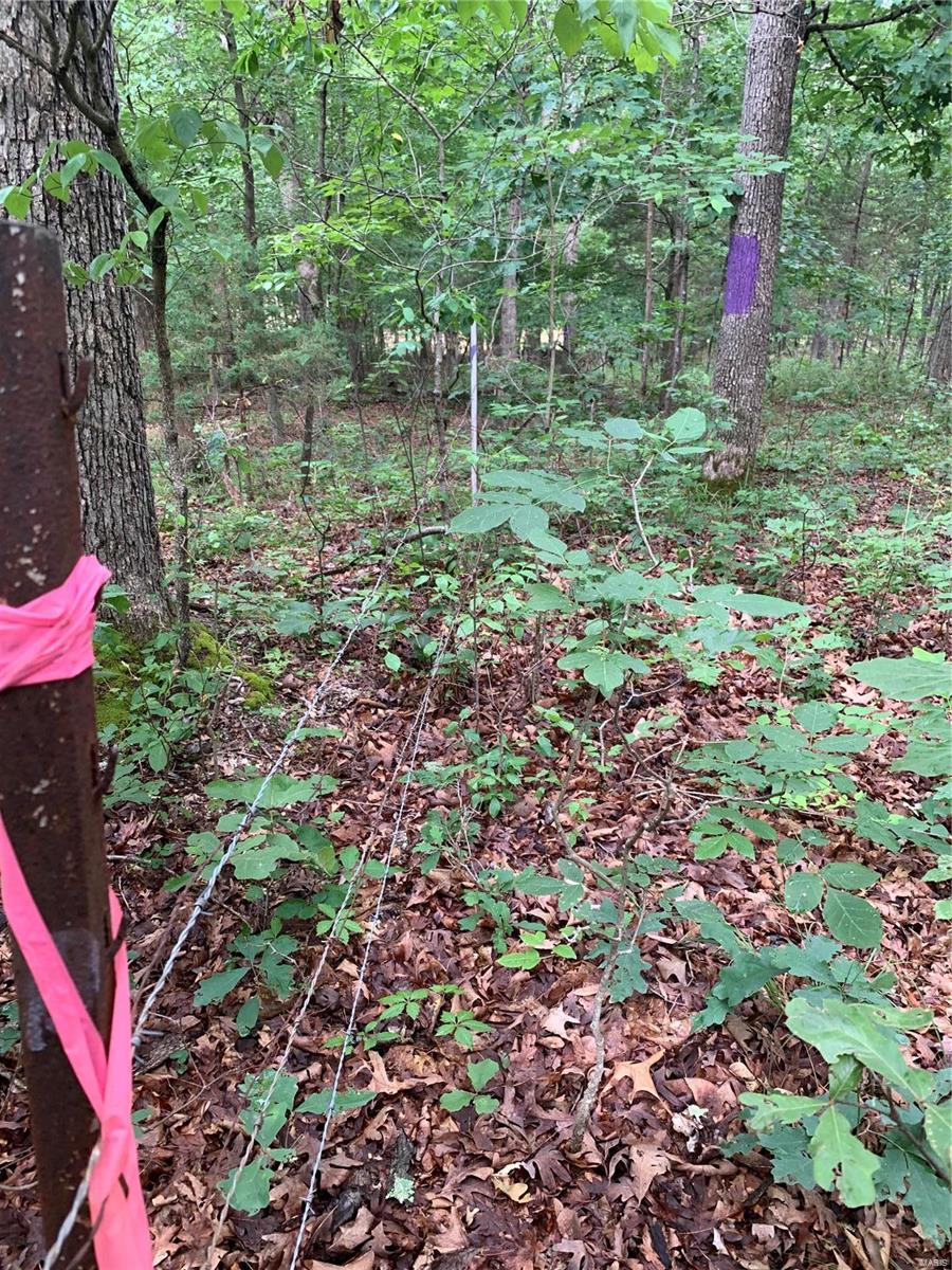 0 Lot 62.01 Acres Property Photo 14