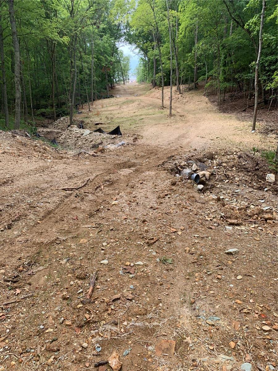 0 Lot 62.01 Acres Property Photo 15