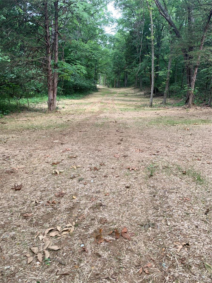 0 Lot 62.01 Acres Property Photo 17