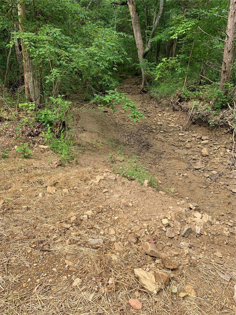 0 Lot 62.01 Acres Property Photo 18