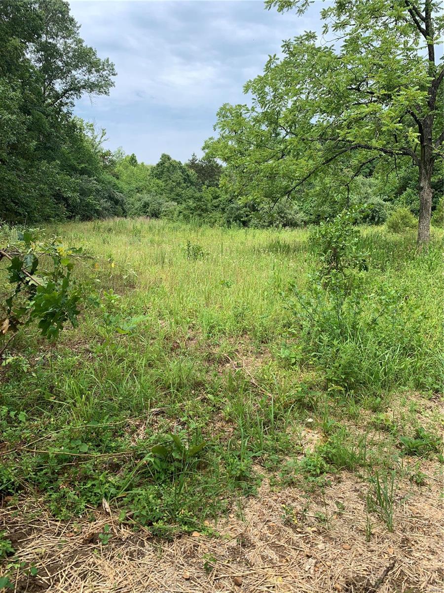 0 Lot 62.01 Acres Property Photo 20