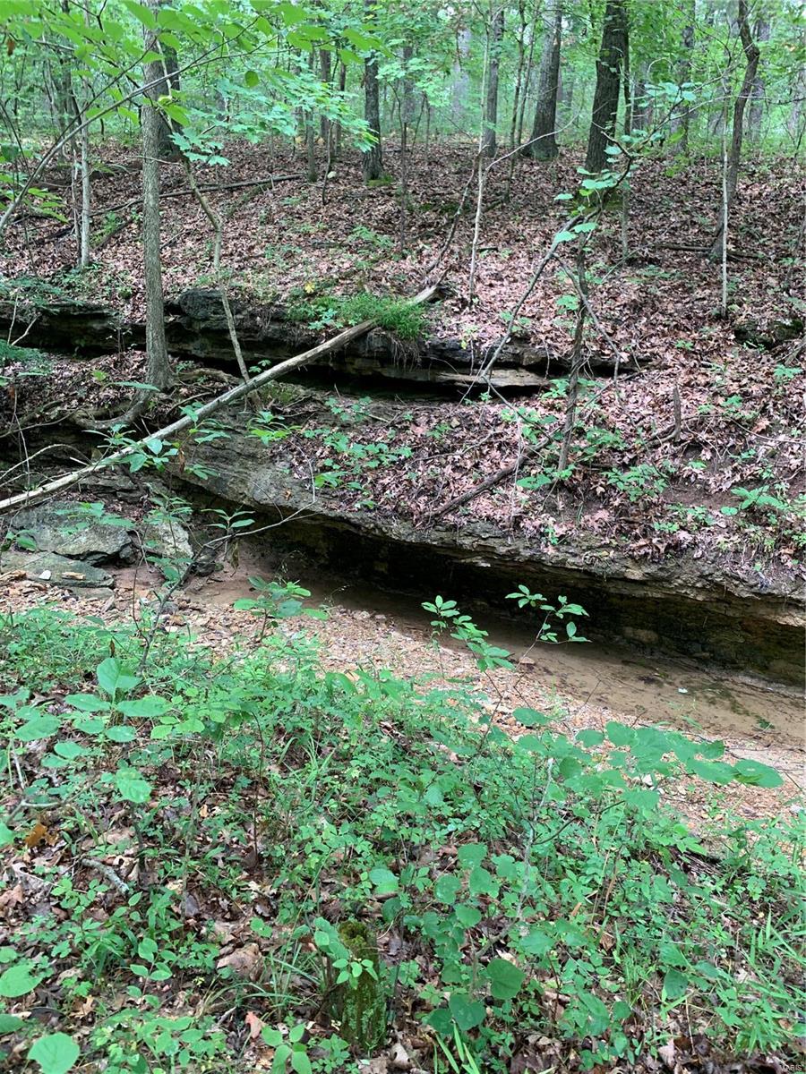 0 Lot 62.01 Acres Property Photo 21