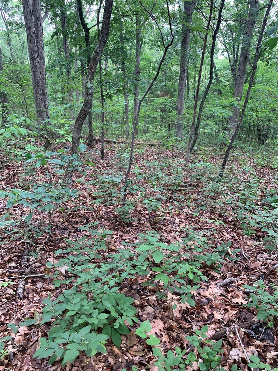 0 Lot 62.01 Acres Property Photo 22