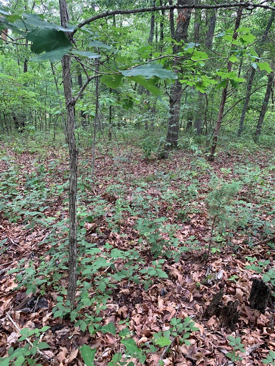 0 Lot 62.01 Acres Property Photo 23