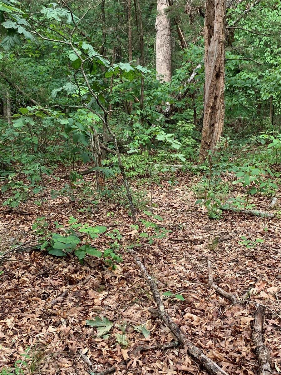 0 Lot 62.01 Acres Property Photo 26