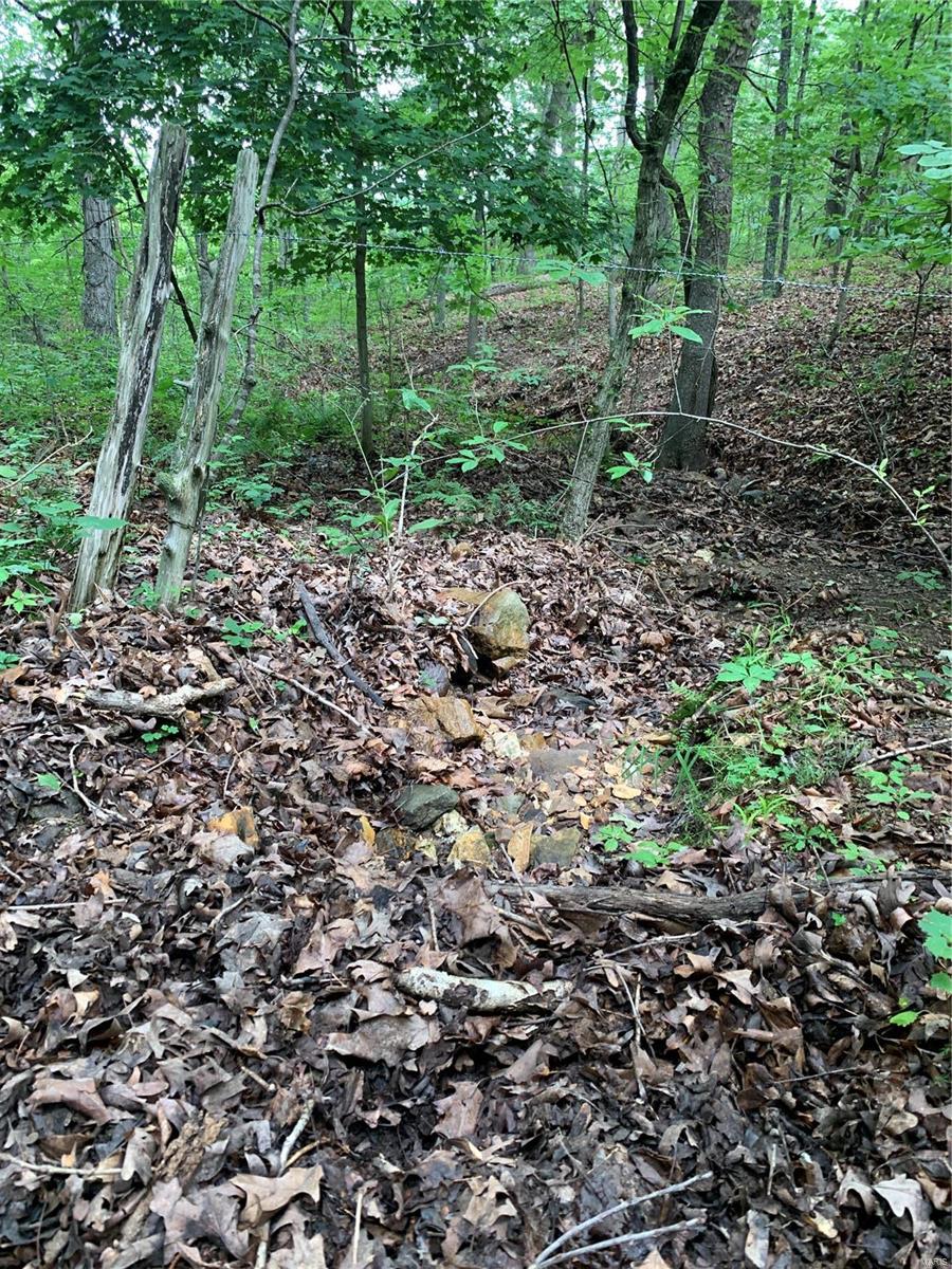0 Lot 62.01 Acres Property Photo 27