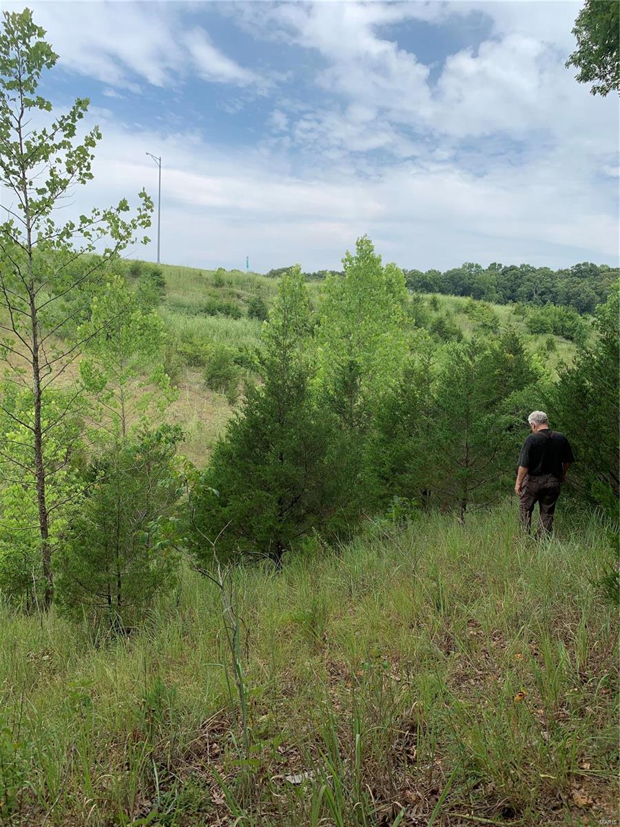 0 Lot 62.01 Acres Property Photo 28