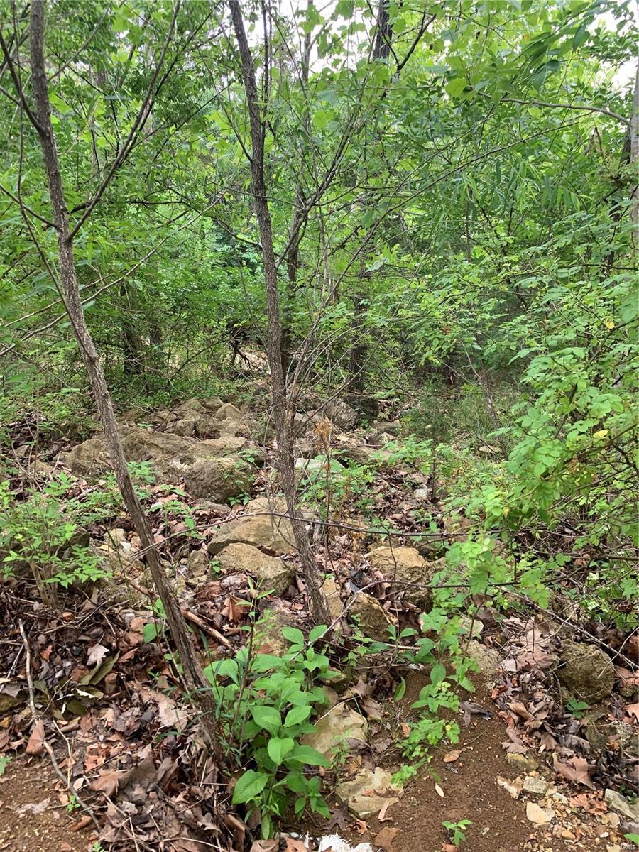 0 Lot 62.01 Acres Property Photo 29
