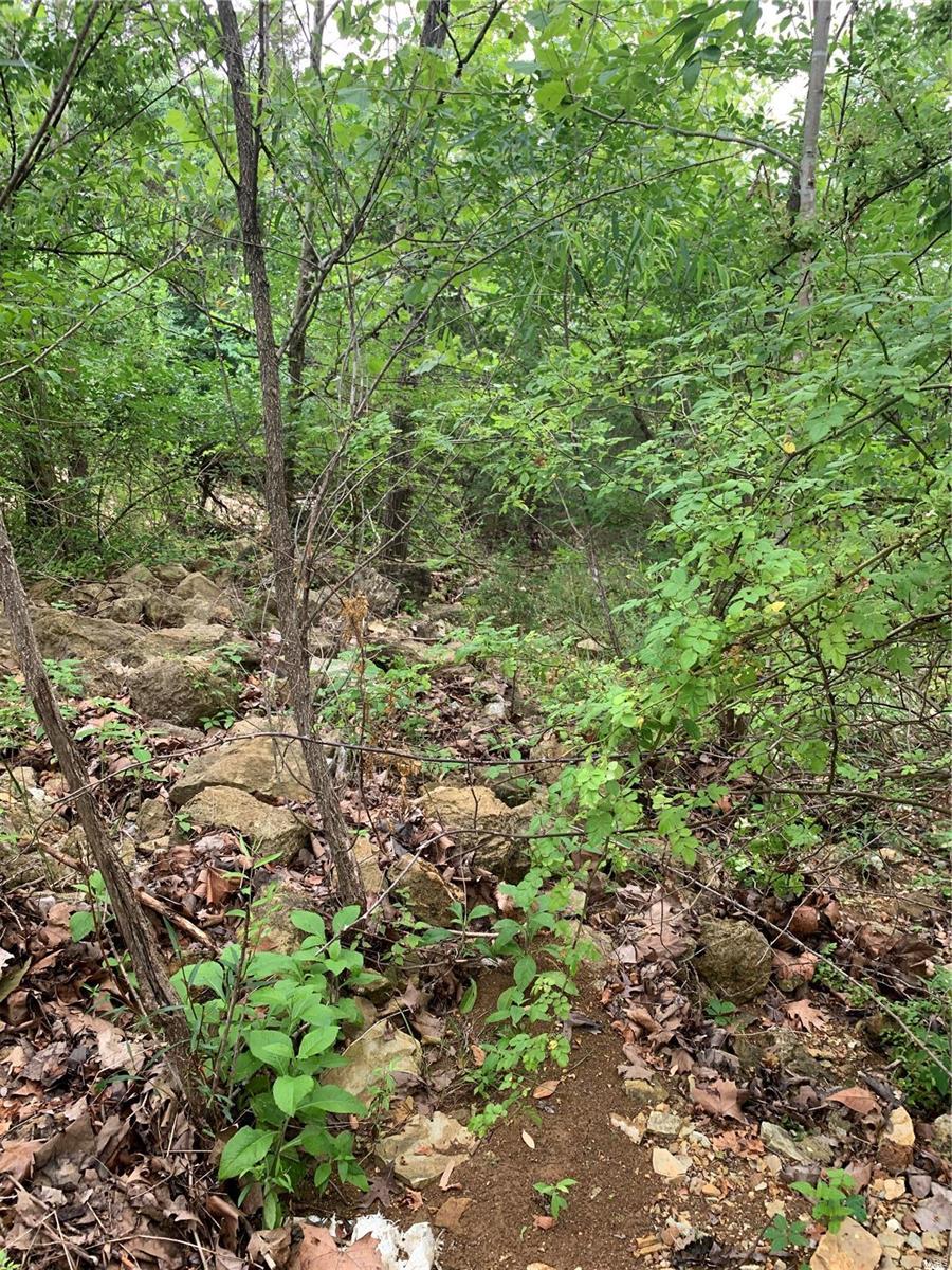 0 Lot 62.01 Acres Property Photo 30