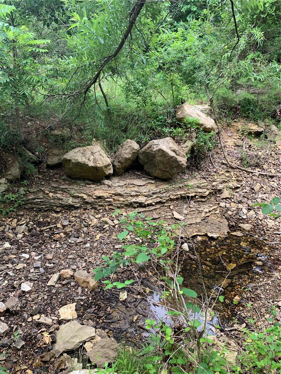 0 Lot 62.01 Acres Property Photo 32