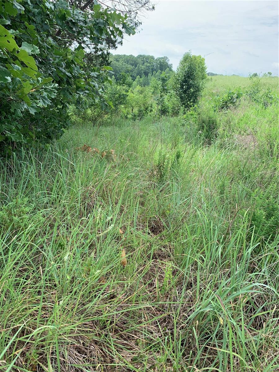 0 Lot 62.01 Acres Property Photo 34