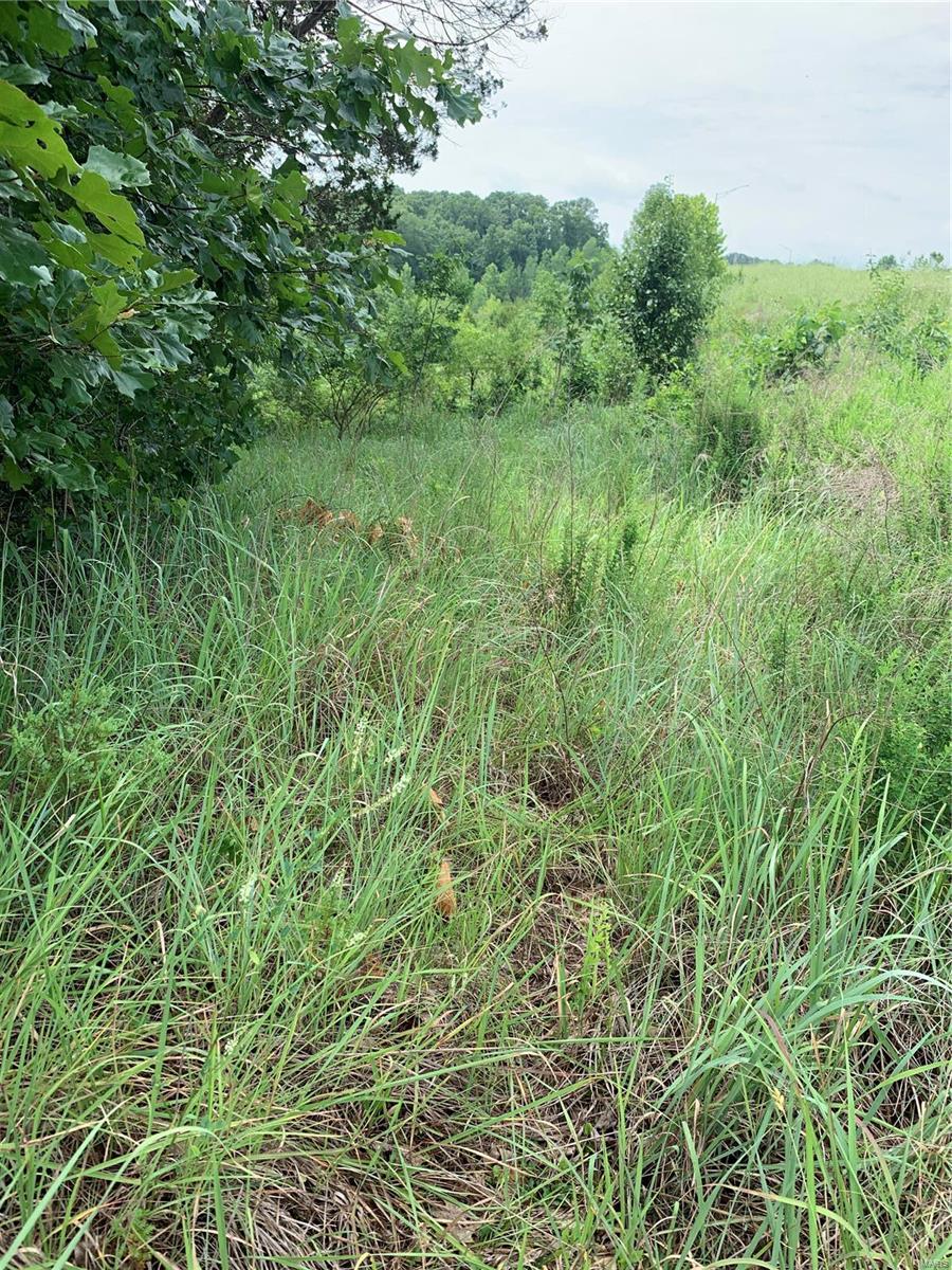 0 Lot 62.01 Acres Property Photo 35