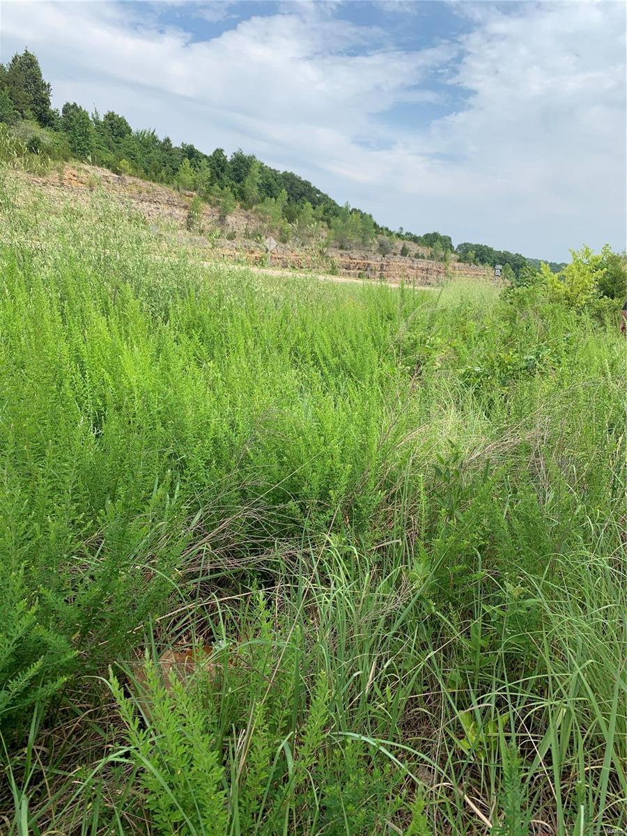 0 Lot 62.01 Acres Property Photo 36