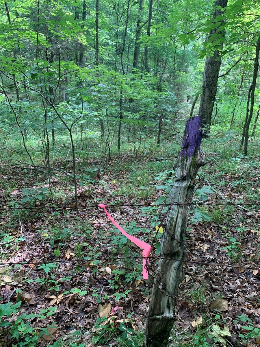 0 Lot 62.01 Acres Property Photo 38