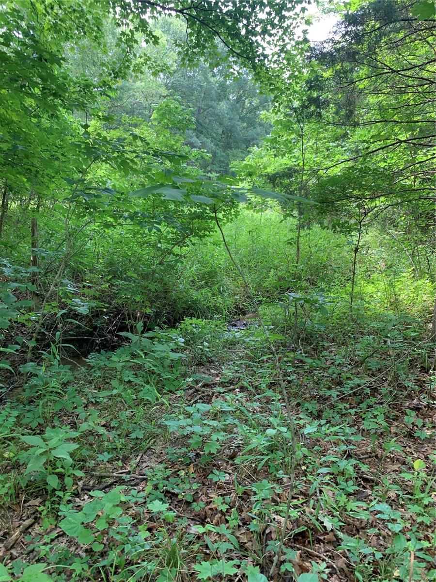 0 Lot 62.01 Acres Property Photo 39