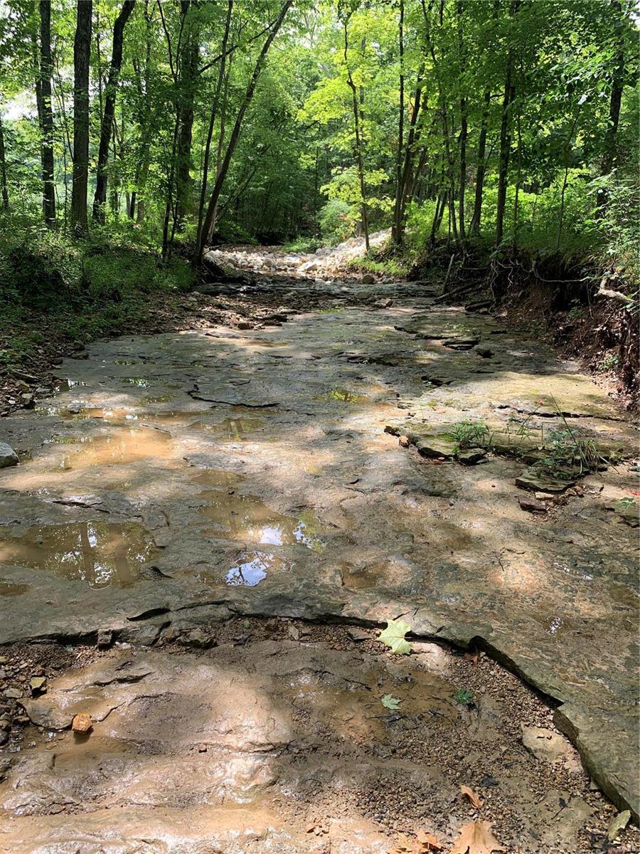0 Lot 62.01 Acres Property Photo 40