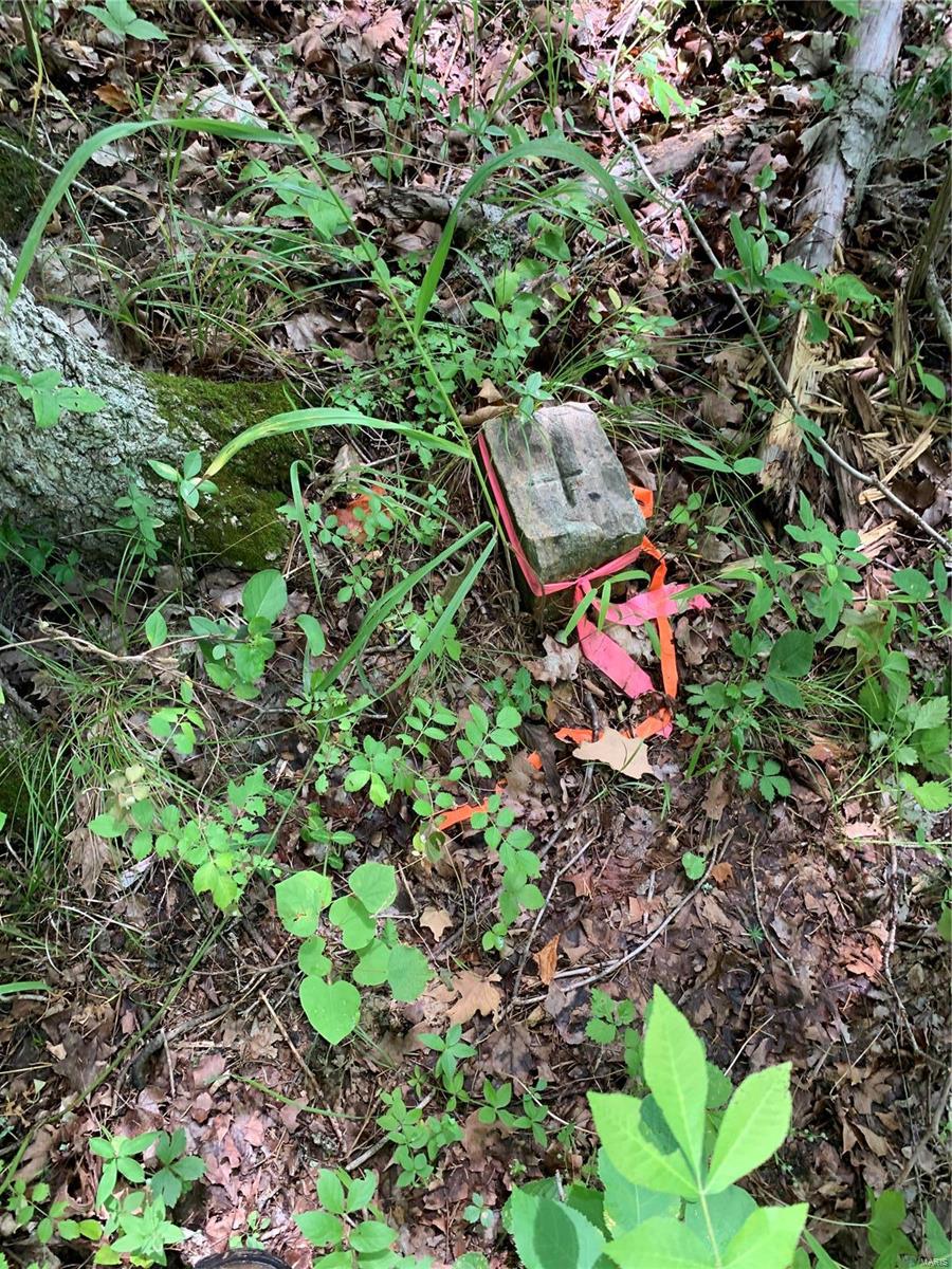 0 Lot 62.01 Acres Property Photo 41