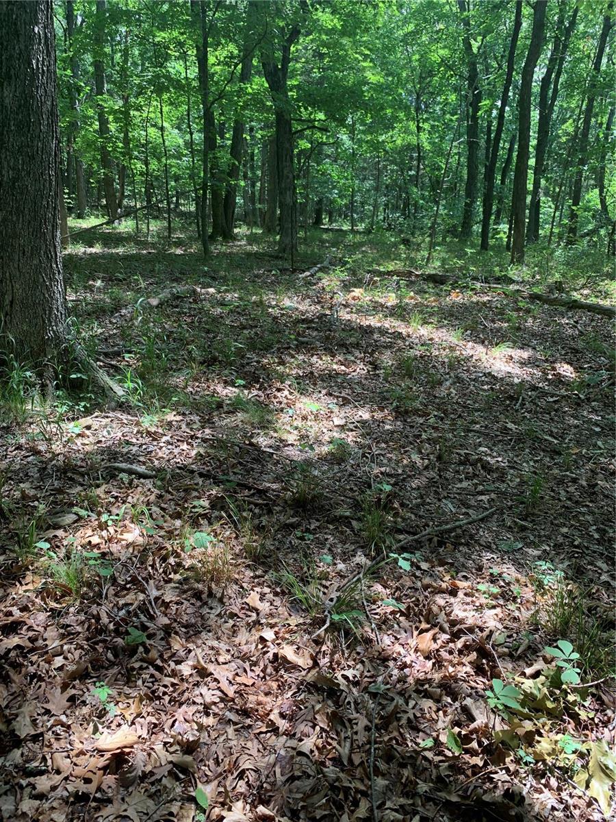 0 Lot 62.01 Acres Property Photo 44