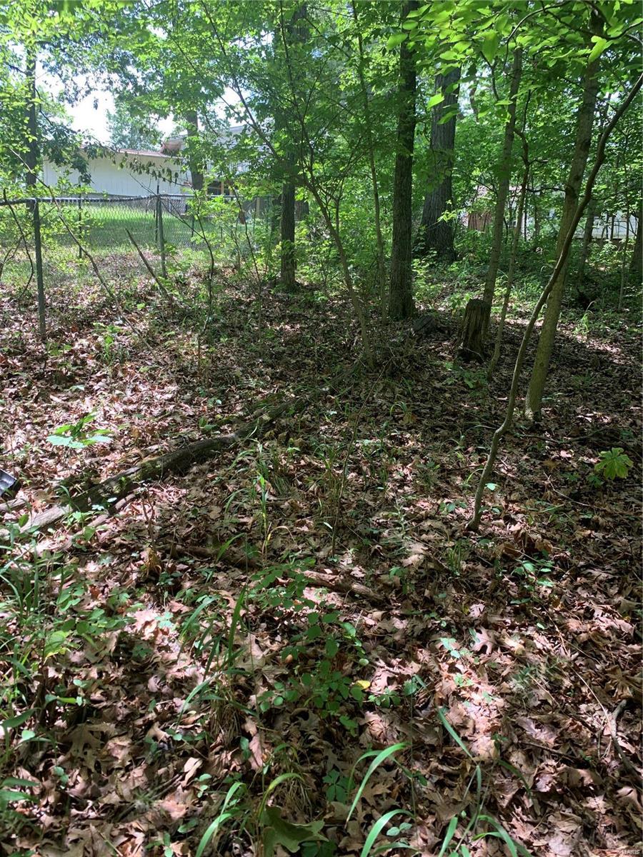 0 Lot 62.01 Acres Property Photo 46
