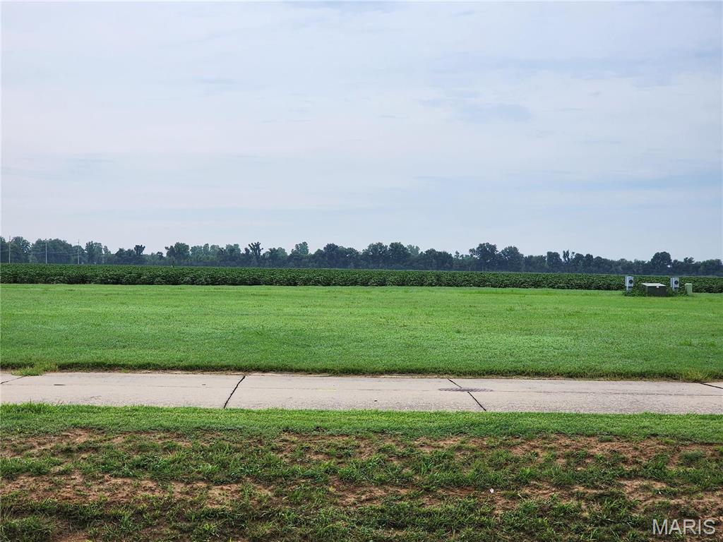 807 Bollweevil Blvd Property Photo 1
