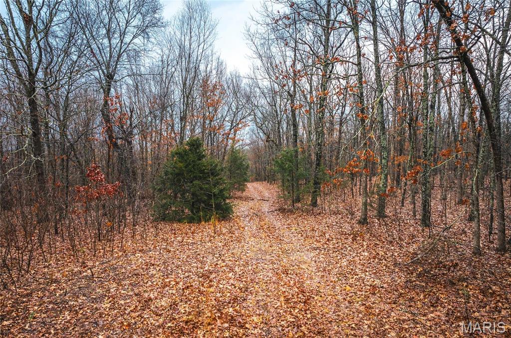 0 Christy Mine Road Property Photo 1