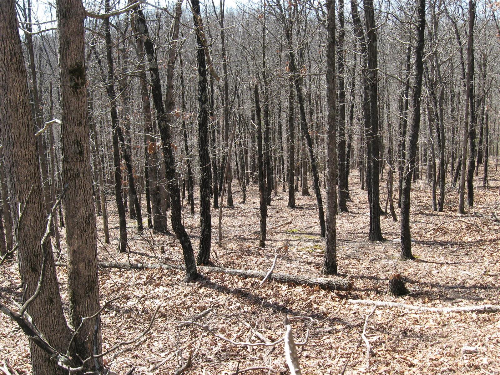 0 Superior Road Property Photo 1