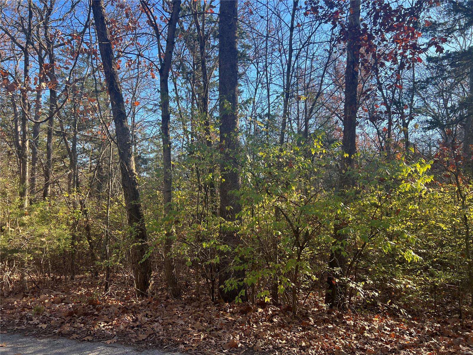 55 Deloris Dr. Property Photo 1