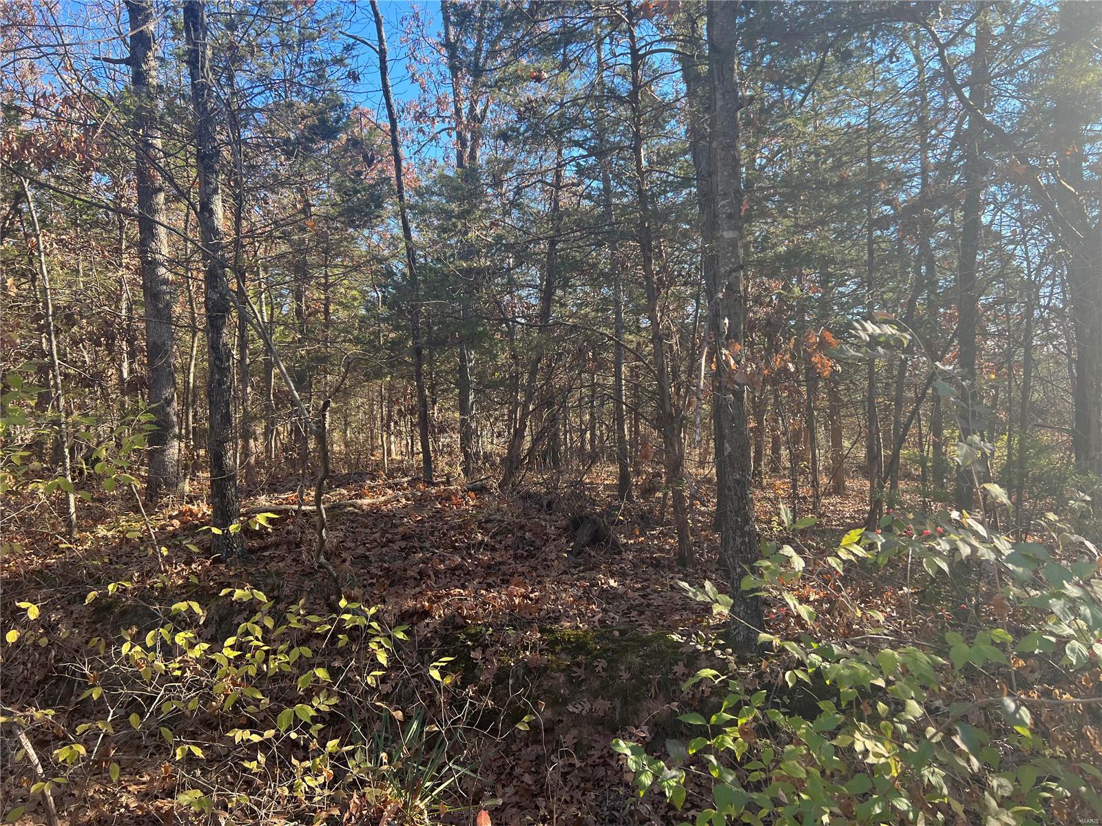 63 Deloris Dr Property Photo 1