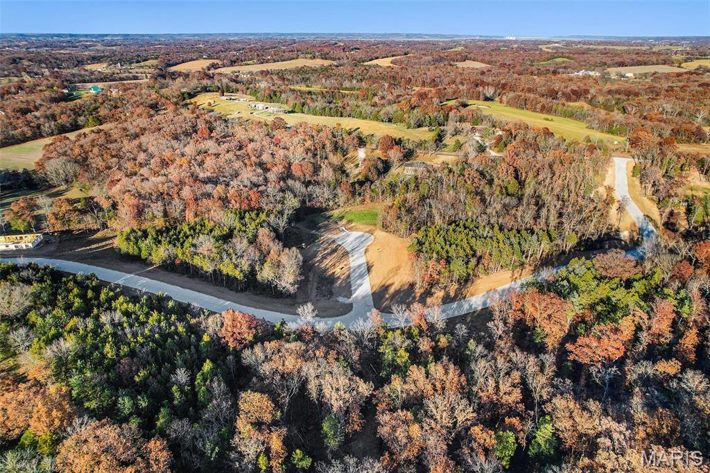 (lot #38) Scarlet Oak Loop Property Photo 6