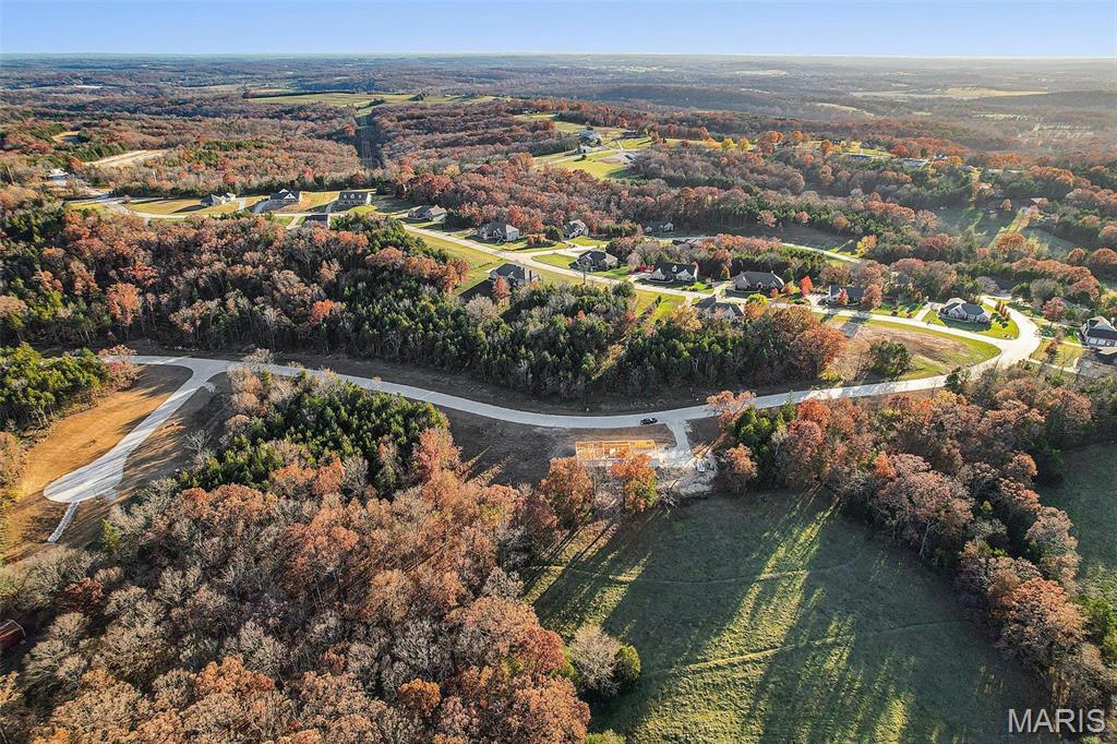 (lot #38) Scarlet Oak Loop Property Photo 8