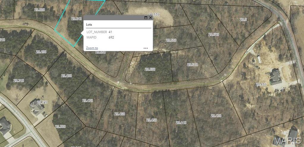 (lot #41) Scarlet Oak Loop Property Photo 1