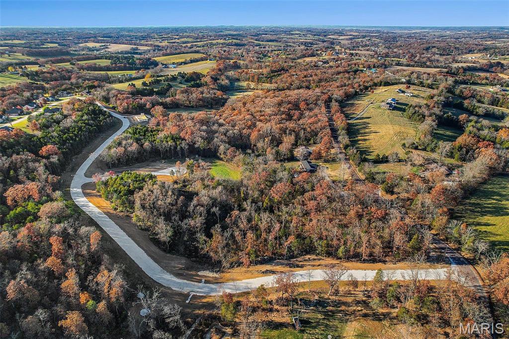 (lot #44) Scarlet Oak Loop Property Photo 3