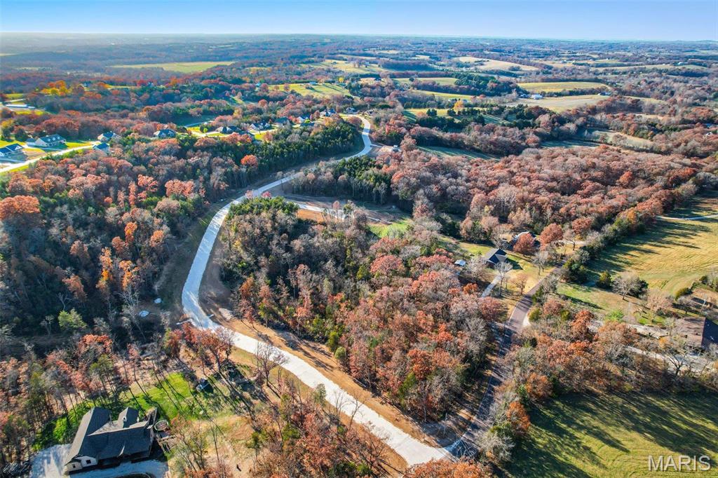 (lot #44) Scarlet Oak Loop Property Photo 5