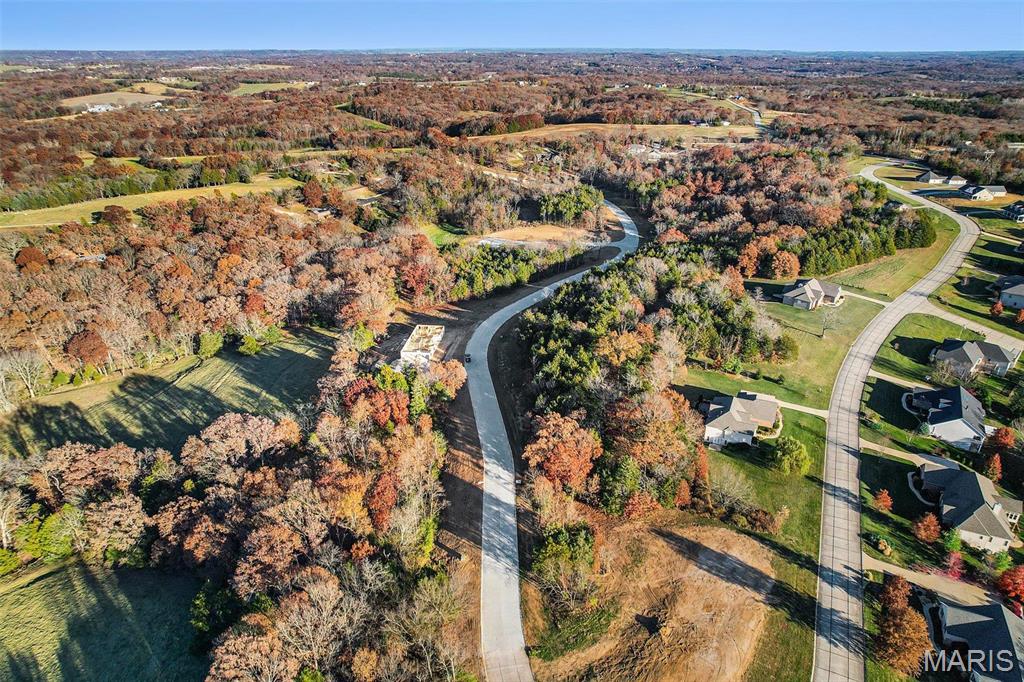 (lot #44) Scarlet Oak Loop Property Photo 7