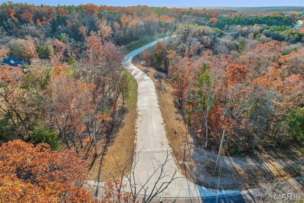 (lot 60) Scarlet Oak Loop Property Photo 1