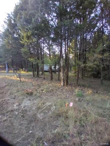 0 Mildred Court Property Photo 7