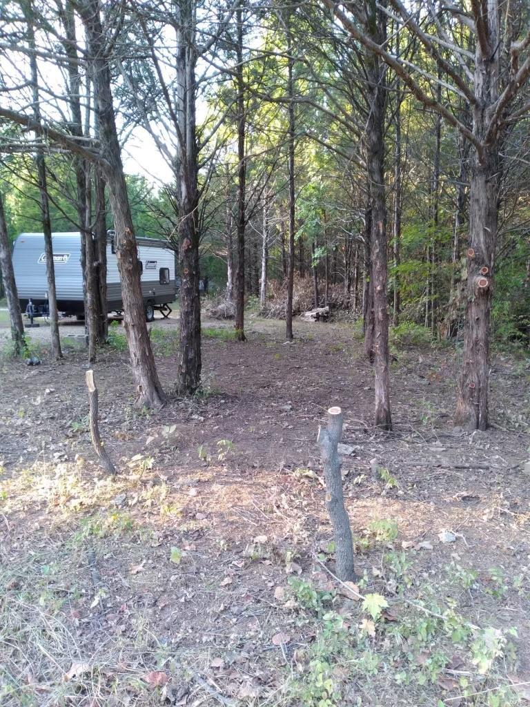 0 Mildred Court Property Photo 8