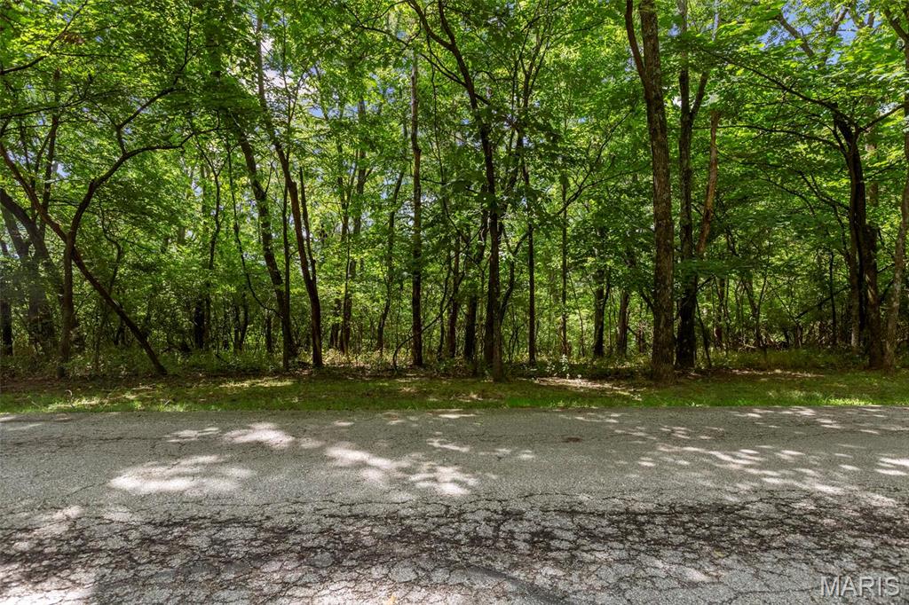 18520 Hawks Hill Road Property Photo 2