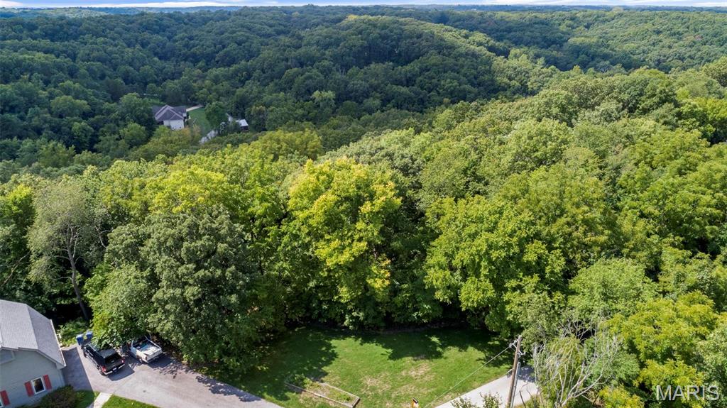 18520 Hawks Hill Road Property Photo 4