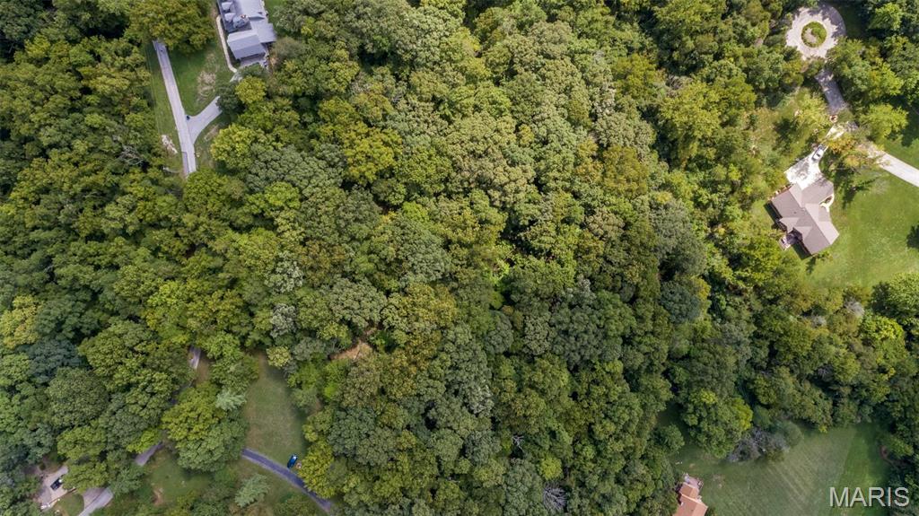 18520 Hawks Hill Road Property Photo 16