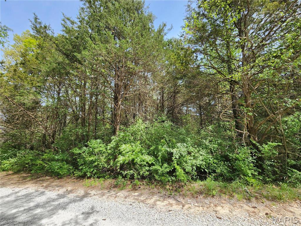 3842 Wayside Drive Property Photo 1