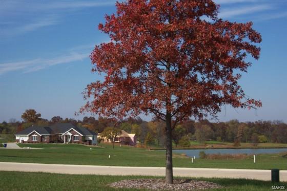 0 Westborough Estates (lot 42) Property Photo 9