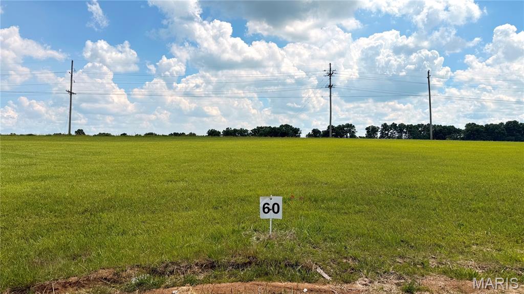 0 Westborough Estates (Lot 60) Property Photo 1