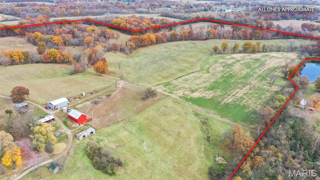 4245 Seminary Road Property Photo 9