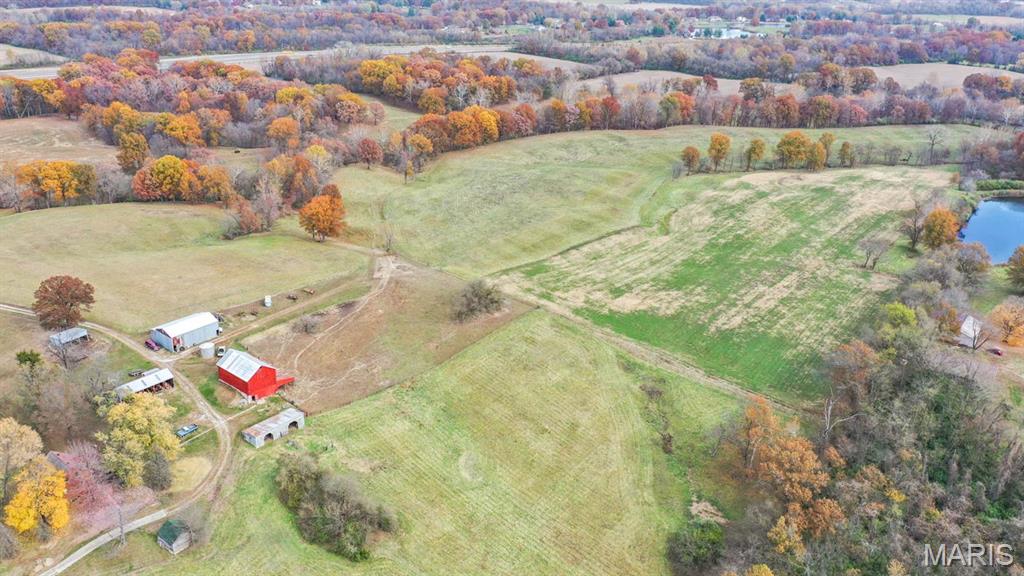 4245 Seminary Road Property Photo 10